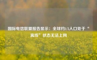 国际电信联盟报告显示：全球约1/3人口处于“离线”状态无法上网