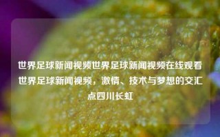 世界足球新闻视频世界足球新闻视频在线观看世界足球新闻视频，激情、技术与梦想的交汇点四川长虹