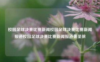 校园足球决赛比赛新闻校园足球决赛比赛新闻报道校园足球决赛比赛新闻报道黄圣依