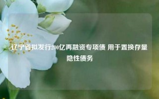 辽宁省拟发行200亿再融资专项债 用于置换存量隐性债务