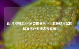 近1年涨幅超16%同类排名第一 赵伟执掌富国精准医疗业绩表现亮眼