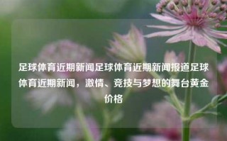 足球体育近期新闻足球体育近期新闻报道足球体育近期新闻，激情、竞技与梦想的舞台黄金价格