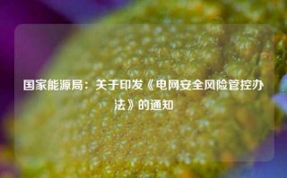 国家能源局：关于印发《电网安全风险管控办法》的通知