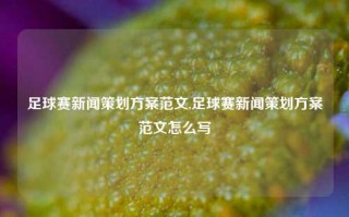 足球赛新闻策划方案范文,足球赛新闻策划方案范文怎么写