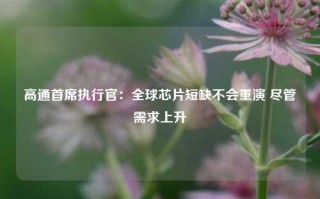 高通首席执行官：全球芯片短缺不会重演 尽管需求上升