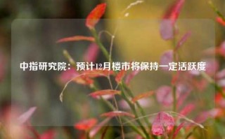 中指研究院：预计12月楼市将保持一定活跃度