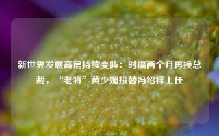 新世界发展高层持续变阵：时隔两个月再换总裁，“老将”黄少媚接替冯绍祥上任