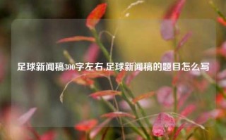 足球新闻稿300字左右,足球新闻稿的题目怎么写