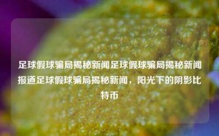 足球假球骗局揭秘新闻足球假球骗局揭秘新闻报道足球假球骗局揭秘新闻，阳光下的阴影比特币