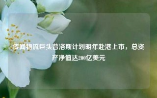 传闻物流巨头普洛斯计划明年赴港上市，总资产净值达200亿美元