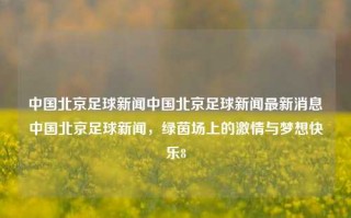 中国北京足球新闻中国北京足球新闻最新消息中国北京足球新闻，绿茵场上的激情与梦想快乐8