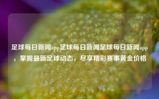 足球每日新闻app足球每日新闻足球每日新闻app，掌握最新足球动态，尽享精彩赛事黄金价格