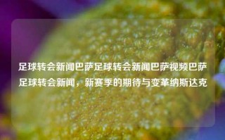 足球转会新闻巴萨足球转会新闻巴萨视频巴萨足球转会新闻，新赛季的期待与变革纳斯达克