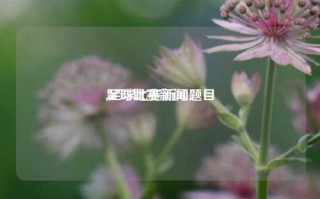 足球比赛新闻
,足球比赛新闻题目