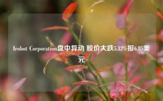 Irobot Corporation盘中异动 股价大跌5.12%报6.85美元