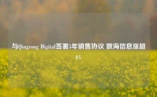 与Qingrong Digital签署5年销售协议 数海信息涨超4%