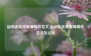 运动会足球新闻稿件范文,运动会足球新闻稿件范文怎么写