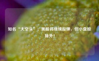 知名“大空头”：美股将继续反弹，但小盘股除外！