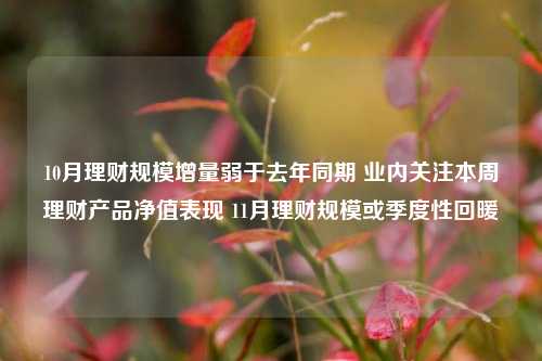 10月理财规模增量弱于去年同期 业内关注本周理财产品净值表现 11月理财规模或季度性回暖