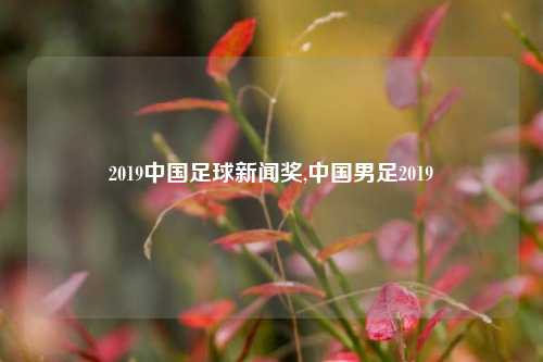 2019中国足球新闻奖,中国男足2019