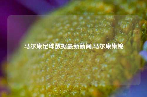 马尔康足球数据最新新闻,马尔康集锦