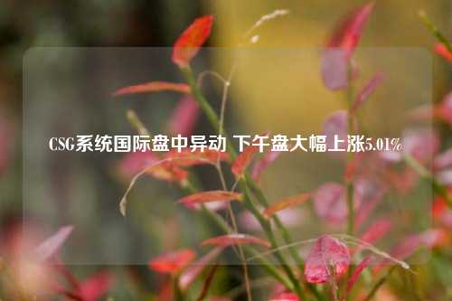 CSG系统国际盘中异动 下午盘大幅上涨5.01%