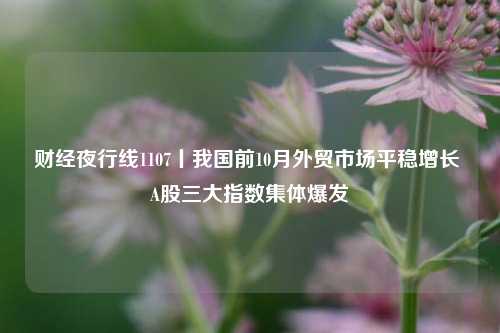 财经夜行线1107丨我国前10月外贸市场平稳增长 A股三大指数集体爆发