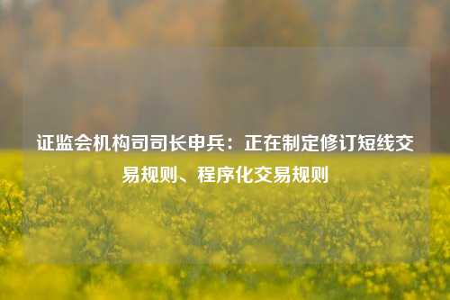 证监会机构司司长申兵：正在制定修订短线交易规则、程序化交易规则