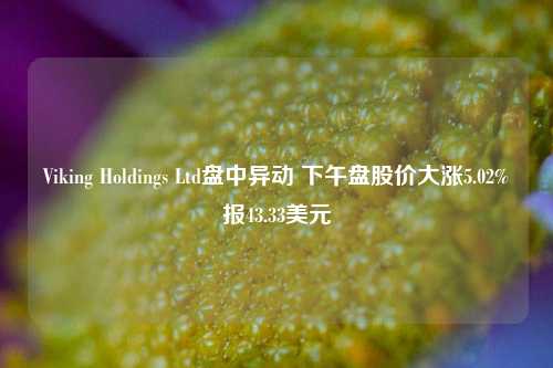 Viking Holdings Ltd盘中异动 下午盘股价大涨5.02%报43.33美元