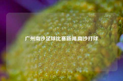 广州南沙足球比赛新闻,南沙打球