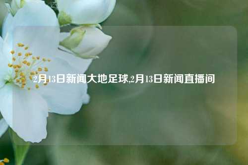 2月13日新闻大地足球,2月13日新闻直播间