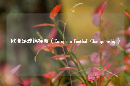 欧洲足球锦标赛（European Football Championship）