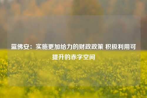 蓝佛安：实施更加给力的财政政策 积极利用可提升的赤字空间