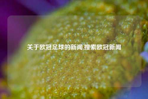 关于欧冠足球的新闻,搜索欧冠新闻