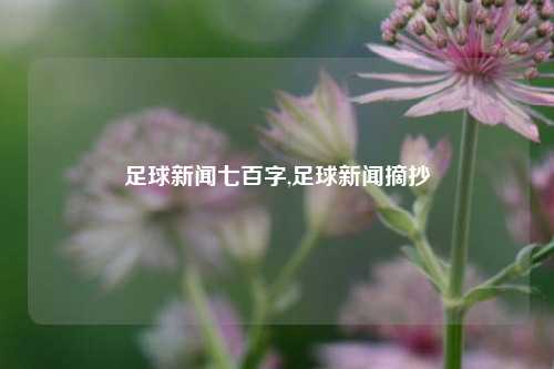 足球新闻七百字,足球新闻摘抄