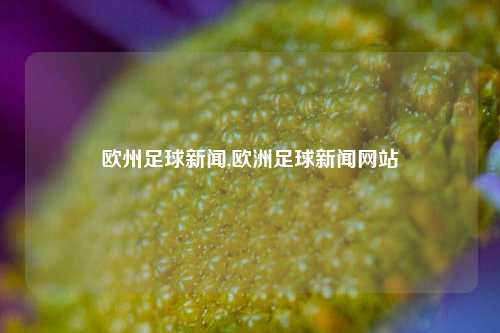 欧州足球新闻,欧洲足球新闻网站