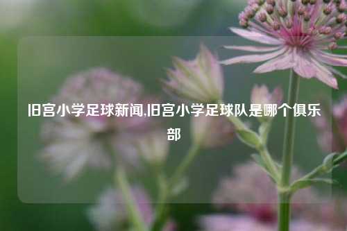 旧宫小学足球新闻,旧宫小学足球队是哪个俱乐部