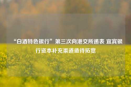 “白酒特色银行”第三次向港交所递表 宜宾银行资本补充渠道亟待拓宽