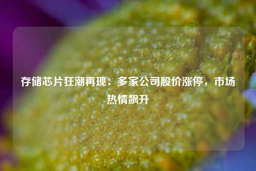 存储芯片狂潮再现：多家公司股价涨停，市场热情飙升