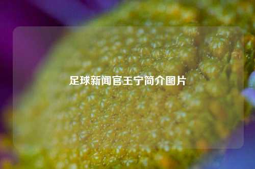 足球新闻官王宁简介图片