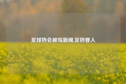 足球协会被骂新闻,足协罪人