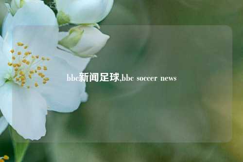 bbc新闻足球,bbc soccer news