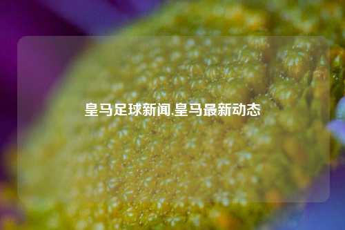 皇马足球新闻,皇马最新动态