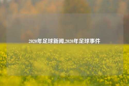 2020年足球新闻,2020年足球事件