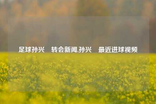 足球孙兴慜转会新闻,孙兴慜最近进球视频