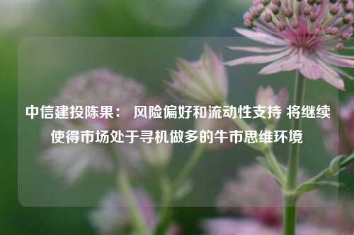 中信建投陈果： 风险偏好和流动性支持 将继续使得市场处于寻机做多的牛市思维环境