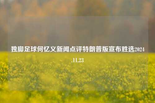 独脚足球何忆义新闻点评特朗普版宣布胜选2024.11.23