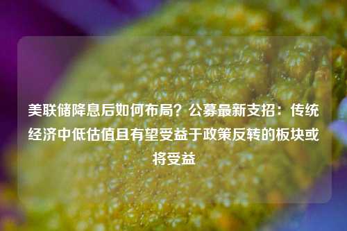 美联储降息后如何布局？公募最新支招：传统经济中低估值且有望受益于政策反转的板块或将受益