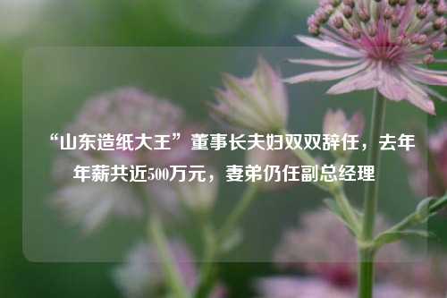 “山东造纸大王”董事长夫妇双双辞任，去年年薪共近500万元，妻弟仍任副总经理