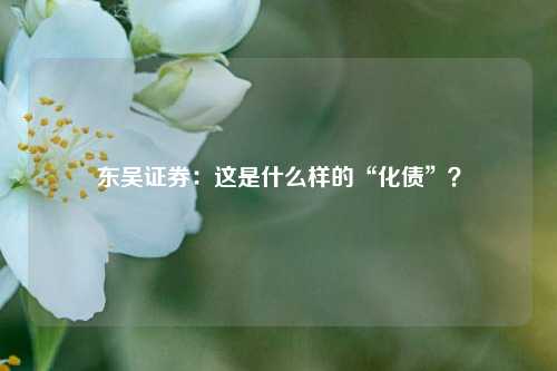 东吴证券：这是什么样的“化债”？